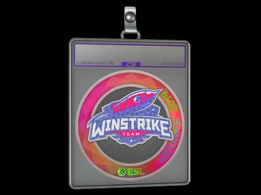 Sticker Slab | Winstrike Team (Holo) | Katowice 2019