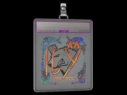 Sticker Slab | ICY (Holo) | Austin 2025