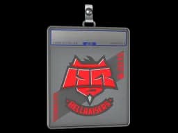 Sticker Slab | HellRaisers | Katowice 2015