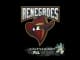 Sticker | Renegades | Antwerp 2022 CS2 skin