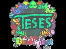 Sticker | TeSeS (Holo) | Budapest 2025