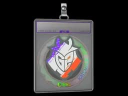 Sticker Slab | G2 Esports (Holo) | Katowice 2019