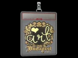 Sticker Slab | arT (Gold) | Budapest 2025