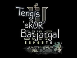 sk0R | Antwerp 2022 - CS2 Skin Prices