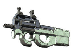 P90 | Storm (Battle-Scarred)
