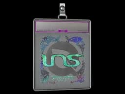 Sticker Slab | INS (Holo) | Austin 2025