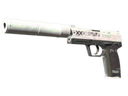 StatTrak™ USP-S | Printstream (Battle-Scarred)