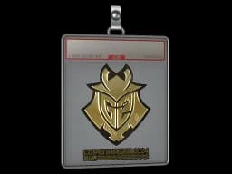 Sticker Slab | G2 Esports (Gold) | Copenhagen 2024