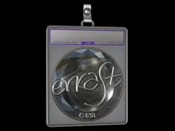 Sticker Slab | erkaSt (Foil) | Katowice 2019