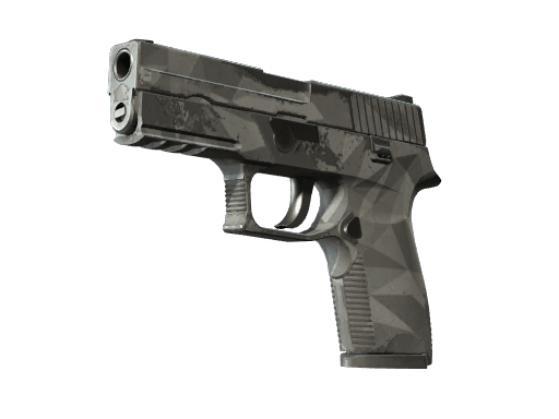 P250 | Facets (Field-Tested)
