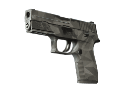 P250 | Facets (Field-Tested)