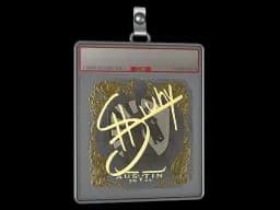 Sticker Slab | siuhy (Gold) | Austin 2025