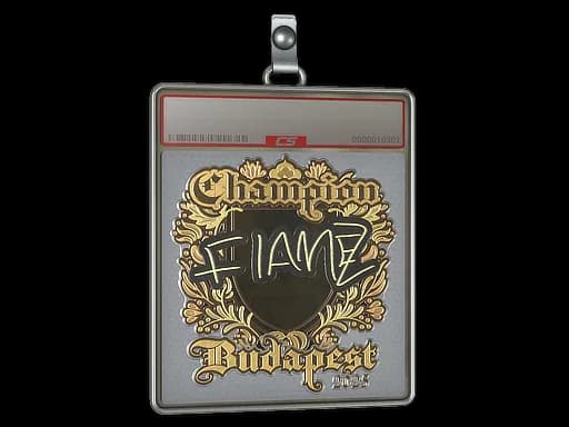 Sticker Slab | FlameZ (Gold, Champion) | Budapest 2025
