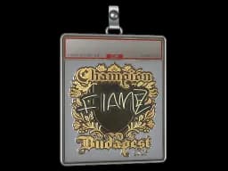 Sticker Slab | FlameZ (Gold, Champion) | Budapest 2025