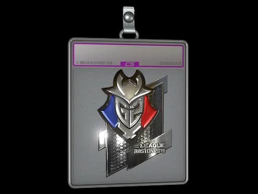 Sticker Slab | G2 Esports (Foil) | Boston 2018