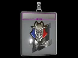 Sticker Slab | G2 Esports (Foil) | Boston 2018