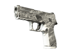 P250 | Sleet (Field-Tested)