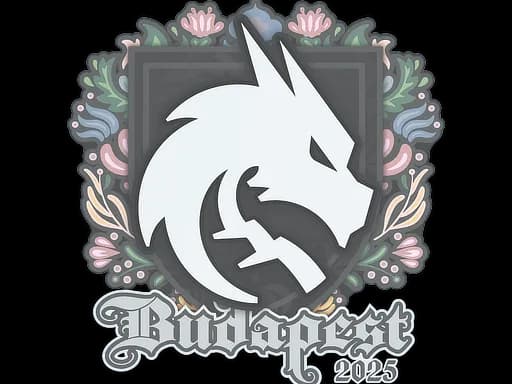 Sticker | Team Spirit | Budapest 2025