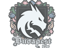 Sticker | Team Spirit | Budapest 2025
