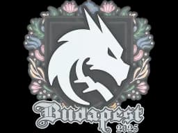 Sticker | Team Spirit | Budapest 2025