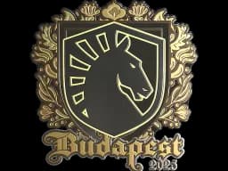 Sticker | Team Liquid (Gold) | Budapest 2025