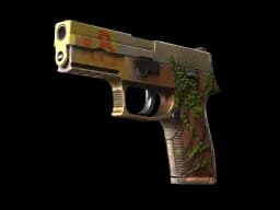 StatTrak™ P250 | Inferno (Well-Worn)