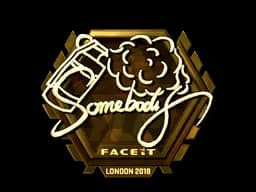 somebody - CS2 Skin Prices