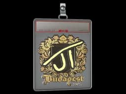 Sticker Slab | JT (Gold) | Budapest 2025