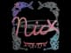 Sticker | nicx | Austin 2025 CS2 skin