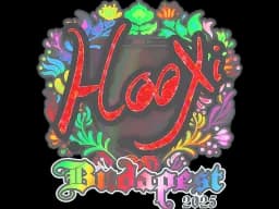 Sticker | HooXi (Holo) | Budapest 2025