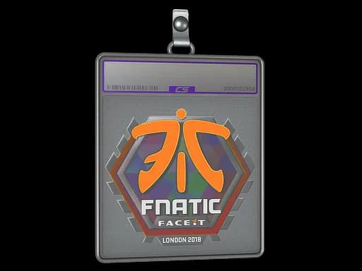 Sticker Slab | Fnatic (Holo) | London 2018