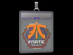 Sticker Slab | Fnatic (Holo) | London 2018