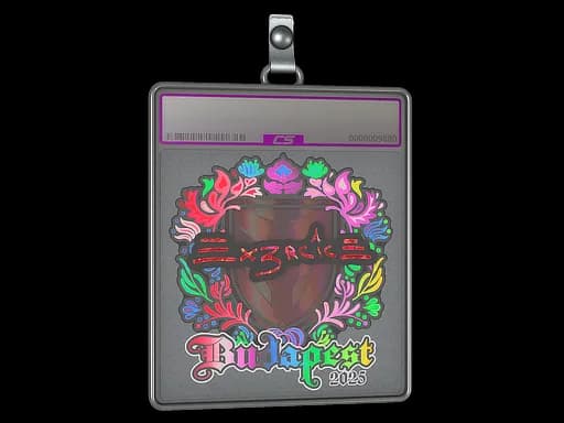 Sticker Slab | Ex3rcice (Holo) | Budapest 2025