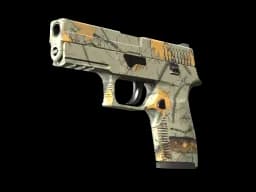 P250 | Modern Hunter CS2 skin