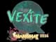 Sticker | vexite | Shanghai 2024 CS2 skin
