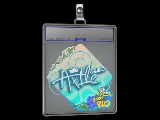 Sticker Slab | Ax1Le | Rio 2022