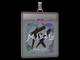 Sticker Slab | mlhzin (Holo) | Austin 2025