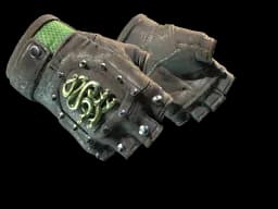 ★ Hydra Gloves | Emerald CS2 skin