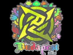 Sticker | Ninjas in Pyjamas (Holo) | Budapest 2025