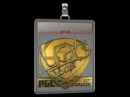 Sticker Slab | LUCAS1 (Gold) | Krakow 2017