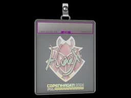 Sticker Slab | HooXi (Holo) | Copenhagen 2024