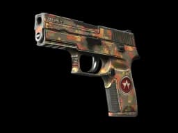 P250 | Red Rock (Battle-Scarred)