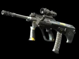 StatTrak™ AUG | Tom Cat (Minimal Wear)