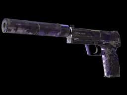 Souvenir USP-S | Purple DDPAT (Well-Worn)