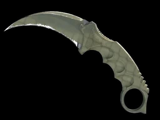 ★ StatTrak™ Karambit | Safari Mesh (Well-Worn)