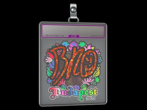 Sticker Slab | br0 (Holo) | Budapest 2025