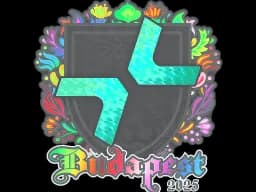 Sticker | PARIVISION (Holo) | Budapest 2025