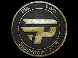 Patch | paiN Gaming (Gold) | Stockholm 2021