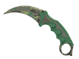 ★ Karambit | Boreal Forest (Minimal Wear)
