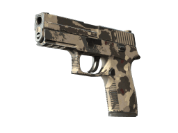 P250 | Black & Tan (Field-Tested)